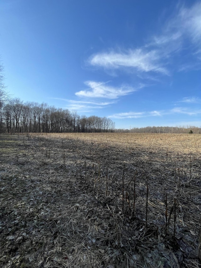0 48th Ave, Lawrence, MI 49064 - photo 10