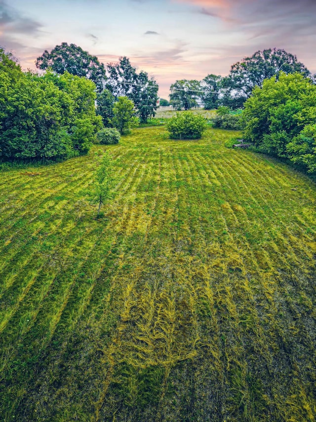 0 Bunkerhill Rd, Munith, MI 49259 - photo 6