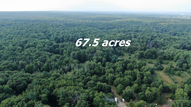 22870 13 Mile Rd, Big Rapids, MI 49307 - photo 1