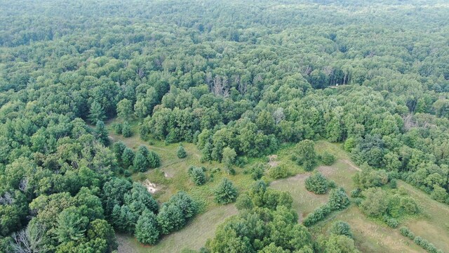 22870 13 Mile Rd, Big Rapids, MI 49307 - photo 11