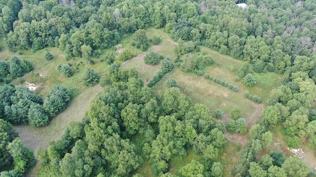 22870 13 Mile Rd, Big Rapids, MI 49307 - photo 12