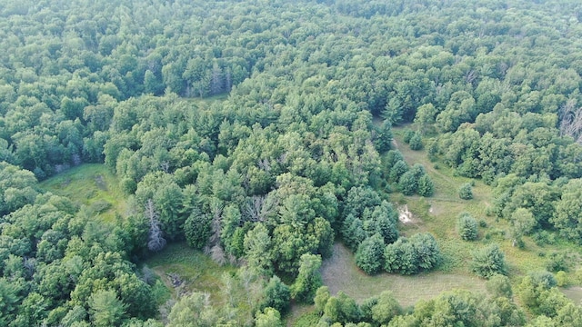 22870 13 Mile Rd, Big Rapids, MI 49307 - photo 13