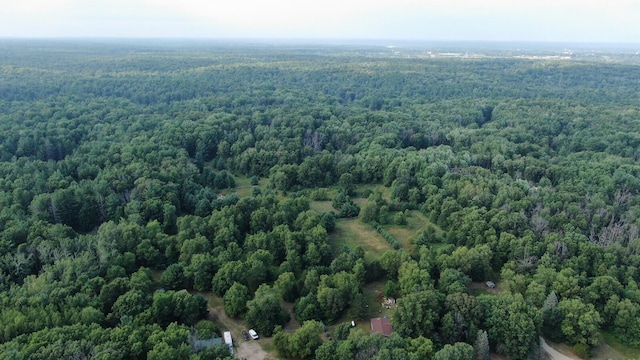 22870 13 Mile Rd, Big Rapids, MI 49307 - photo 14
