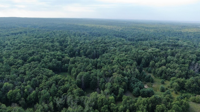 22870 13 Mile Rd, Big Rapids, MI 49307 - photo 15