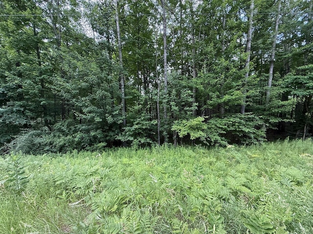 22870 13 Mile Rd, Big Rapids, MI 49307 - photo 17