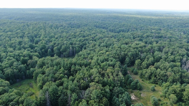 22870 13 Mile Rd, Big Rapids, MI 49307 - photo 18