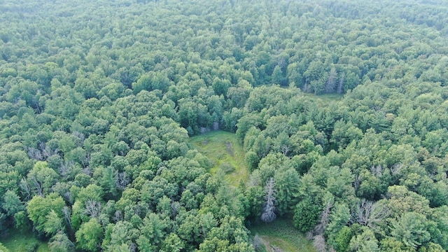 22870 13 Mile Rd, Big Rapids, MI 49307 - photo 19