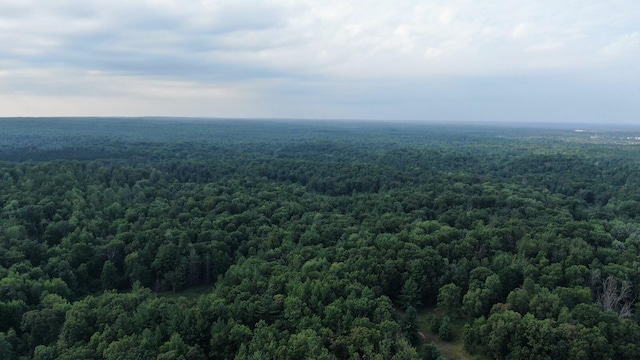 22870 13 Mile Rd, Big Rapids, MI 49307 - photo 20