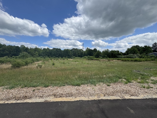 6537 118th Ave Lot G, Fennville, MI 49408 - photo 3