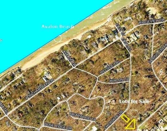 4202 Grand Bch Rd, Michiana, MI 49117 - photo 5