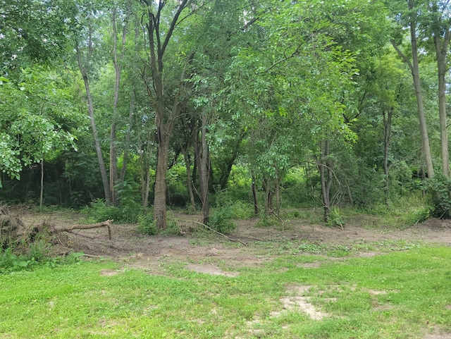 Woodschool Rd Unit A, Freeport, MI 49325 - photo 4