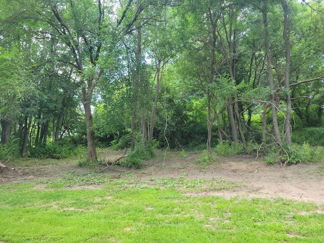 Woodschool Rd Unit A, Freeport, MI 49325 - photo 5