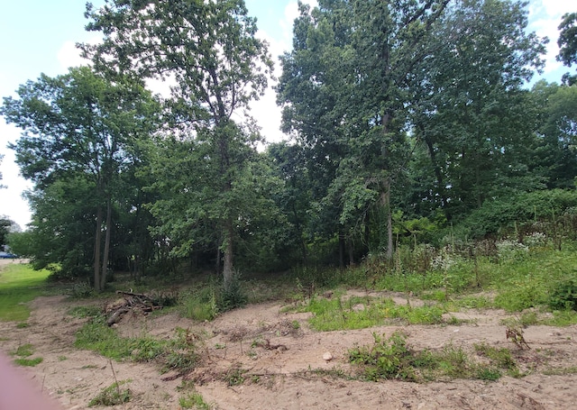 Woodschool Rd Unit A, Freeport, MI 49325 - photo 6