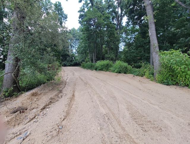 Woodschool Rd Unit A, Freeport, MI 49325 - photo 3