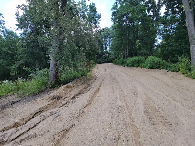 Woodschool Rd Unit A, Freeport, MI 49325 - photo 10