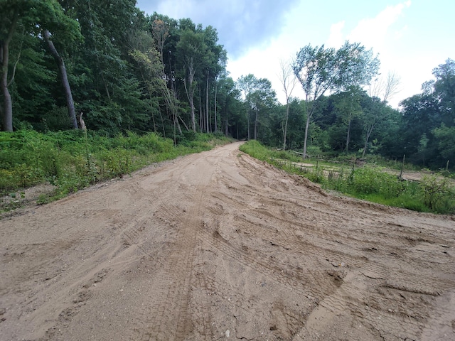 Woodschool Rd Unit A, Freeport, MI 49325 - photo 2