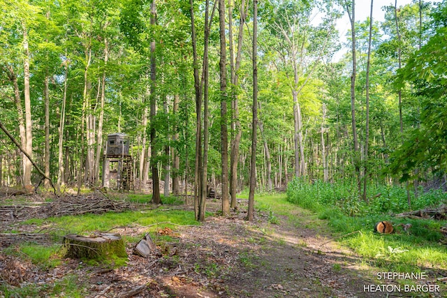 10365 E Klees Rd, Crystal, MI 48818 - photo 9