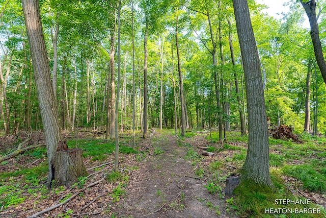 10365 E Klees Rd, Crystal, MI 48818 - photo 10