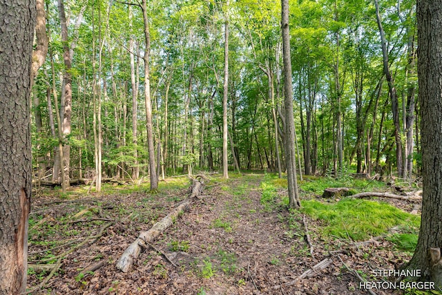 10365 E Klees Rd, Crystal, MI 48818 - photo 12