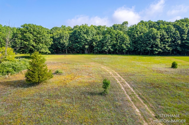 10365 E Klees Rd, Crystal, MI 48818 - photo 13