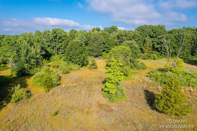 10365 E Klees Rd, Crystal, MI 48818 - photo 14