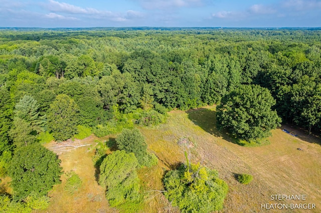 10365 E Klees Rd, Crystal, MI 48818 - photo 16