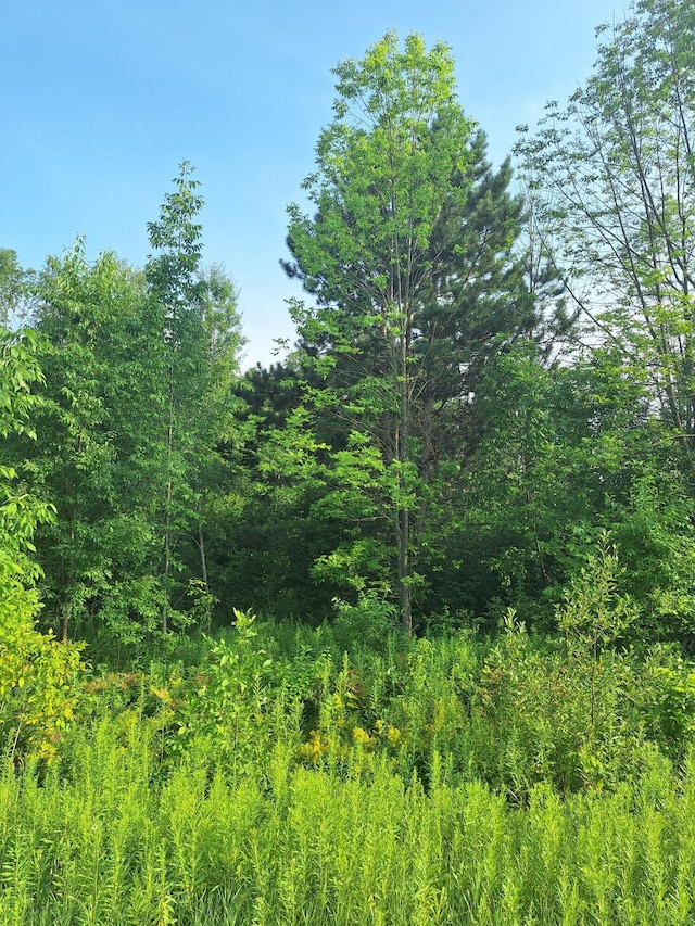 000 14 Mile Rd, Leroy, MI 49655 - photo 4