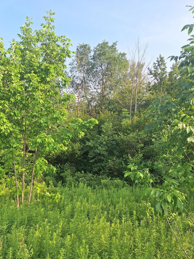 000 14 Mile Rd, Leroy, MI 49655 - photo 6