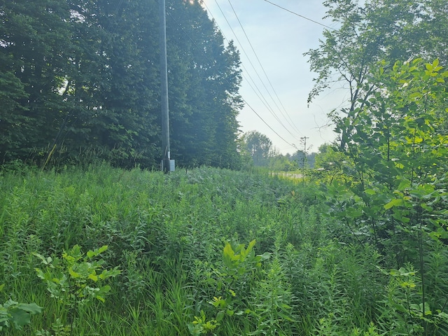 000 14 Mile Rd, Leroy, MI 49655 - photo 8
