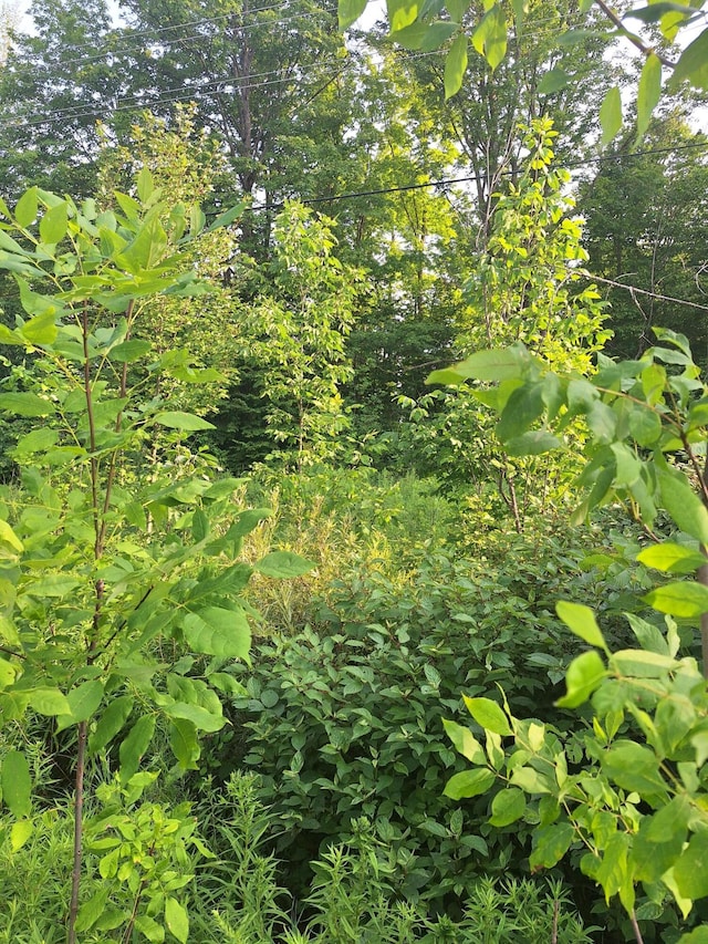 000 14 Mile Rd, Leroy, MI 49655 - photo 7