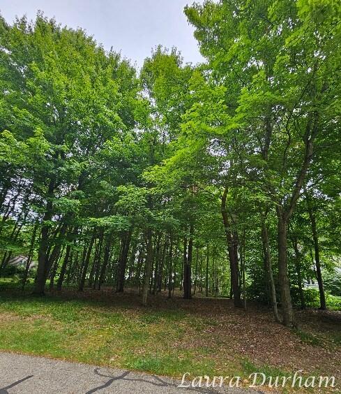 NOF3365 Clearview Ln, Saugatuck, MI 49453 - photo 8