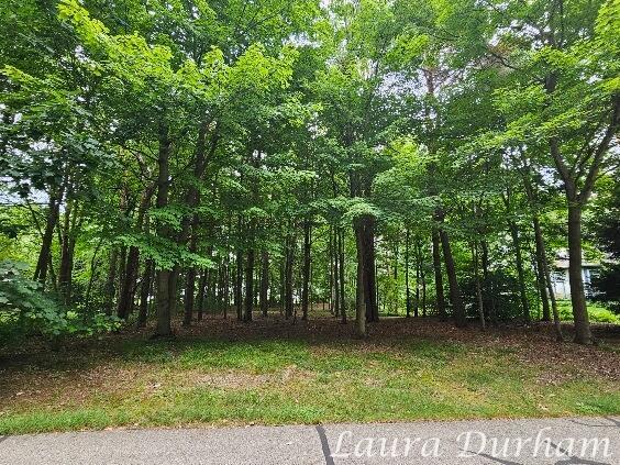NOF3365 Clearview Ln, Saugatuck, MI 49453 - photo 4