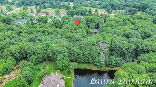 NOF3365 Clearview Ln, Saugatuck, MI 49453 - photo 10