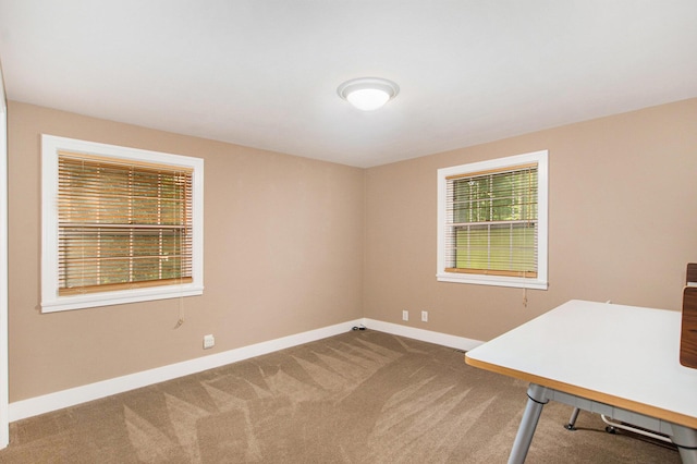 1019 S Baywood Dr, Holland, MI 49424 - photo 20