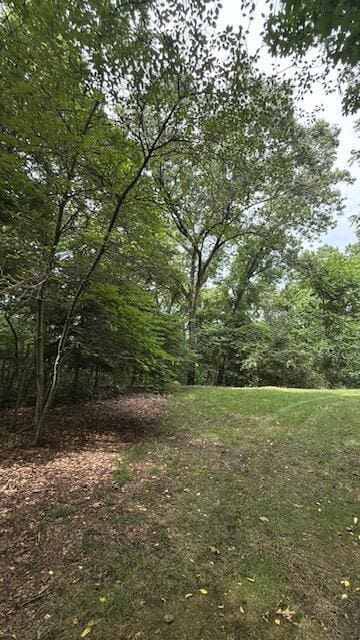 0 E River Rd, Buchanan, MI 49107 - photo 4