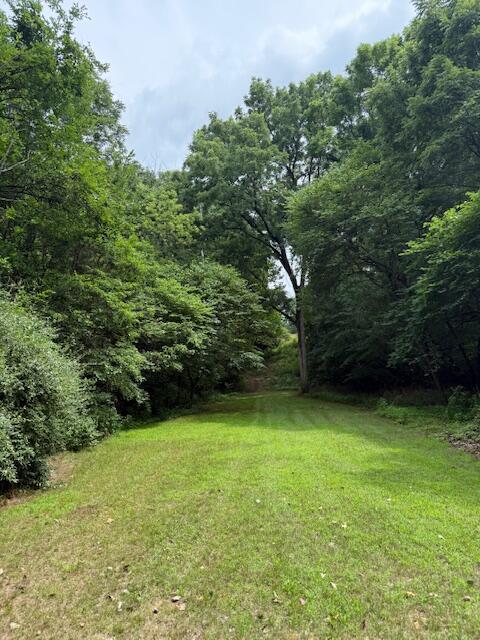 0 E River Rd, Buchanan, MI 49107 - photo 7