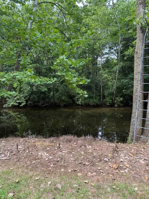 0 E River Rd, Buchanan, MI 49107 - photo 2
