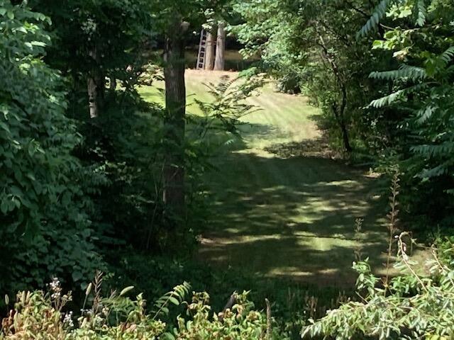 0 E River Rd, Buchanan, MI 49107 - photo 10