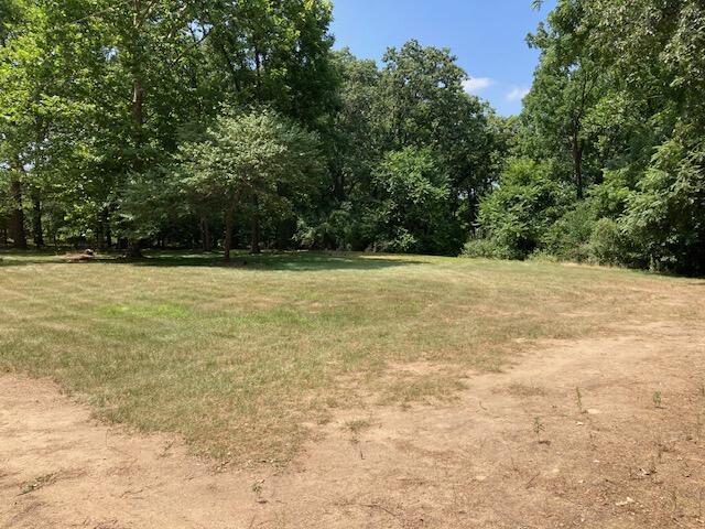 0 E River Rd, Buchanan, MI 49107 - photo 11