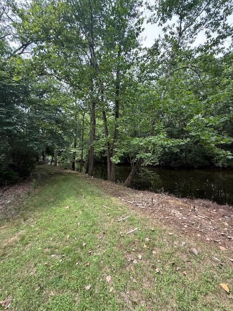 0 E River Rd, Buchanan, MI 49107 - photo 8