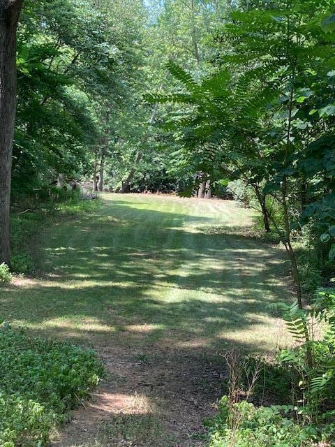 0 E River Rd, Buchanan, MI 49107 - photo 9