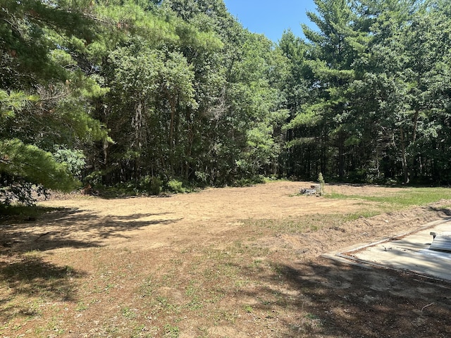 2018 W 44th St, Baldwin, MI 49304 - photo 2