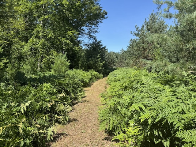 N Coates Hwy, Harrietta, MI 49638 - photo 14