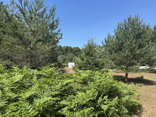 N Coates Hwy, Harrietta, MI 49638 - photo 15