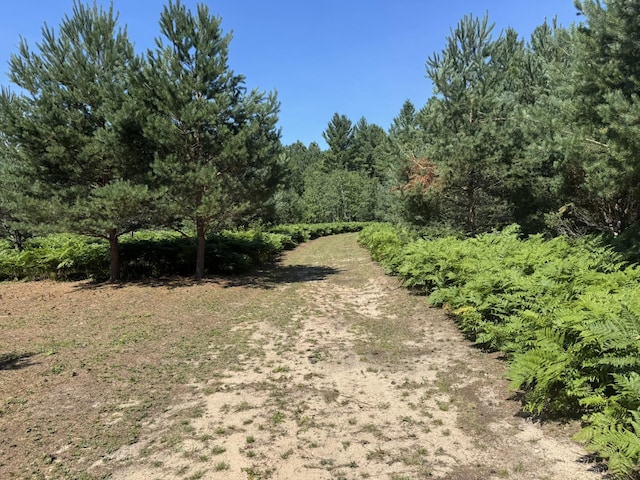 N Coates Hwy, Harrietta, MI 49638 - photo 16