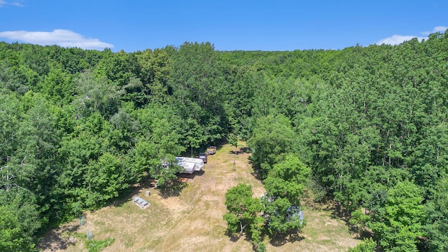 9255 Amanda Ct, Mancelona, MI 49659 - photo 33