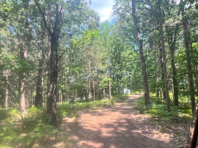 6142 N Sunshine Dr, Irons, MI 49644 - photo 3