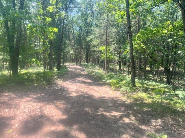 6142 N Sunshine Dr, Irons, MI 49644 - photo 12