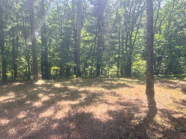 6142 N Sunshine Dr, Irons, MI 49644 - photo 15