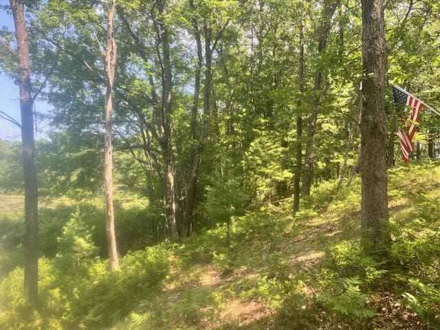 6142 N Sunshine Dr, Irons, MI 49644 - photo 17